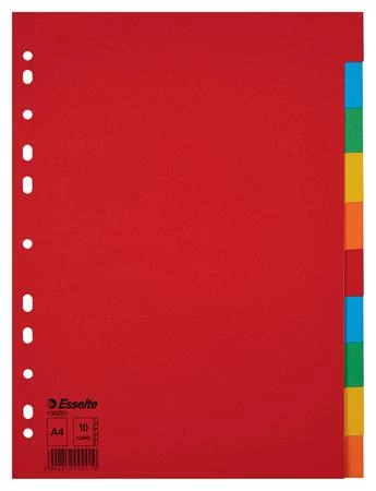 Regiszter, karton, A4, 10 részes, ESSELTE 
