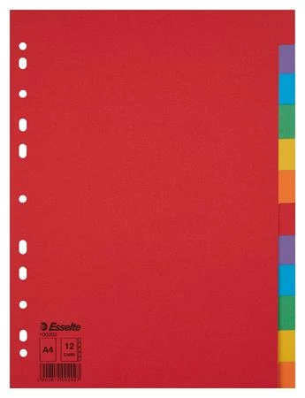 Regiszter, karton, A4, 12 részes, ESSELTE 