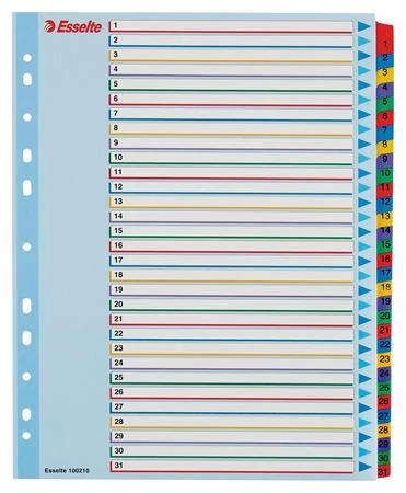 Regiszter, laminált karton, A4 Maxi, 1-31, újraírható, ESSELTE