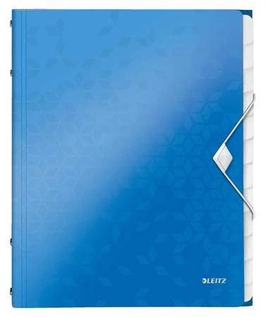 Előrendező, A4, 12 részes, műanyag, LEITZ 