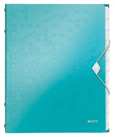 Előrendező, A4, 12 részes, műanyag, LEITZ 