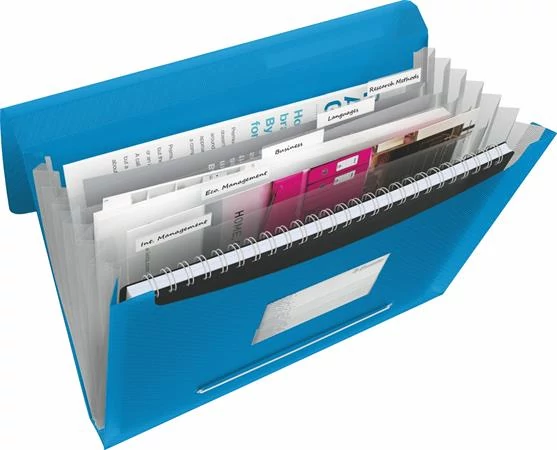 Harmonikamappa, A4, PP, 6 rekeszes, ESSELTE 