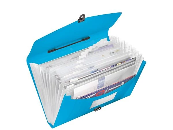 Harmonikatáska, A4, PP, 12 rekeszes, ESSELTE 