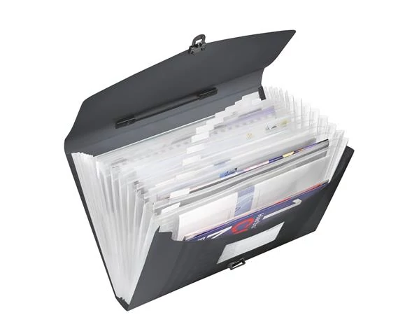 Harmonikatáska, A4, PP, 12 rekeszes, ESSELTE 