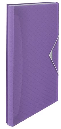 Harmonikamappa, A4, PP, 6 rekeszes, ESSELTE 