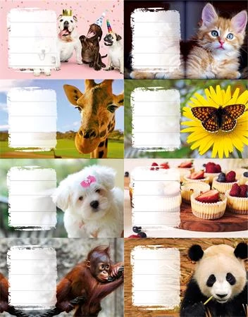 Füzetcímke, 24 db, PANTA PLAST, 