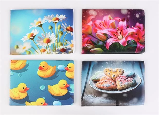 Diák- és igazolványtartó, fekvő, 6 betét lappal, mintás PVC, 