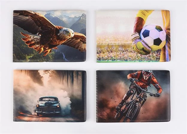 Diák- és igazolványtartó, fekvő, 6 betét lappal, mintás PVC, 