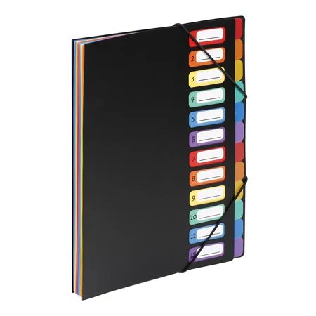 Irattartó mappa, gumis, 12 részes, VIQUEL 