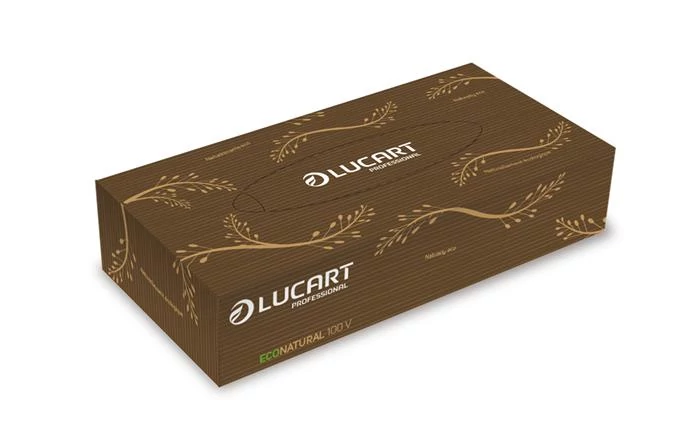 Kozmetikai kendő, 2 rétegű, 100 db, LUCART 