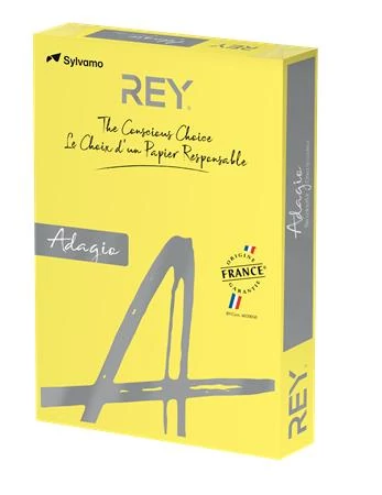 Másolópapír, színes, A3, 80 g, REY 