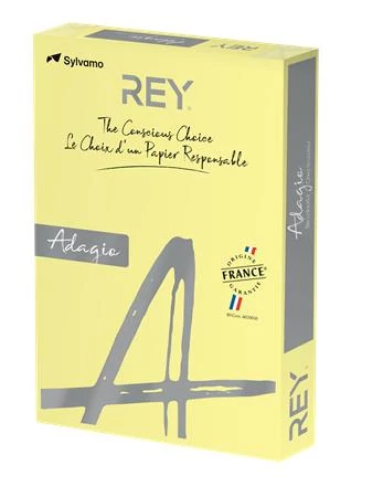 Másolópapír, színes, A3, 80 g, REY 