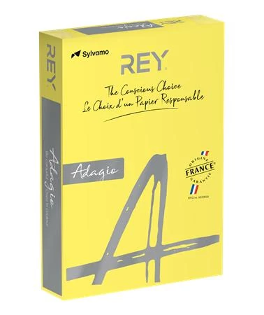 Másolópapír, színes, A4, 160 g, REY 