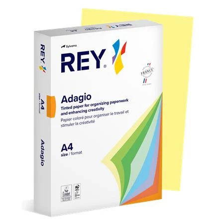 Másolópapír, színes, A4, 160 g, REY 