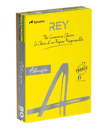 Másolópapír, színes, A4, 80 g, 5x100 lap, REY 