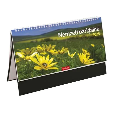 Naptár, asztali, álló, TOPTIMER, 