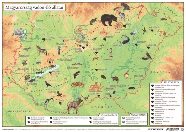 Könyökalátét, kétoldalas, A3, STIEFEL 