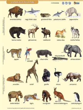 Tanulói munkalap, A4, STIEFEL